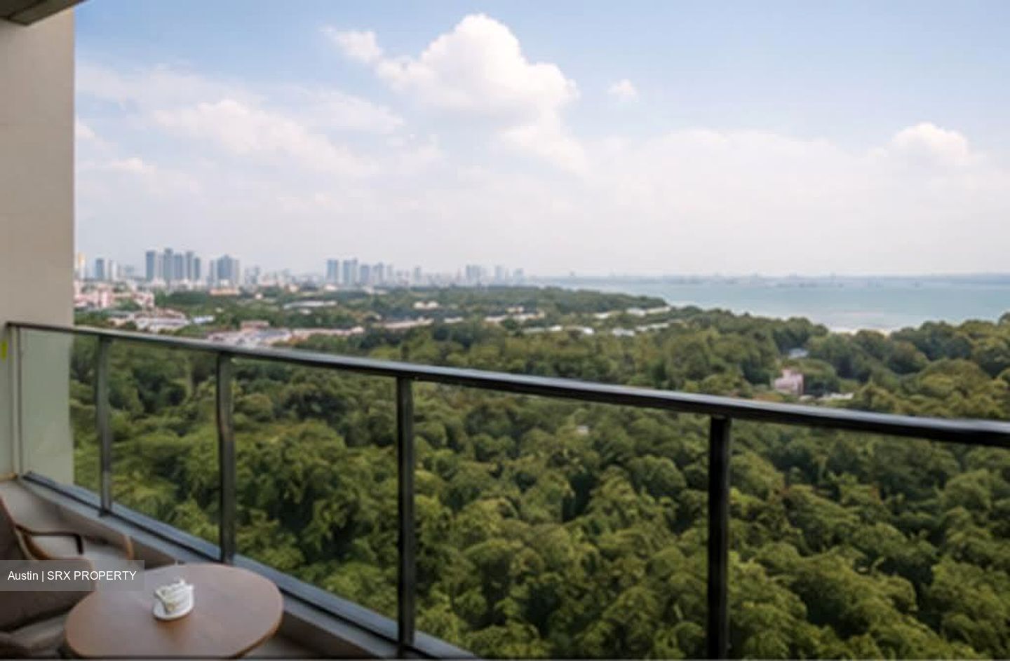 Normanton Park (D5), Apartment #560833391
